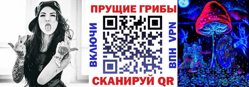 Галлюциногенные грибы мицелий купить наркотики сайты Карачаевск